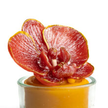 imkereiwaltl_bienenwachs-12