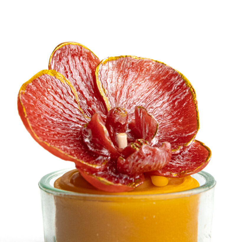 imkereiwaltl_bienenwachs-12